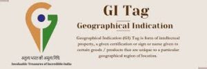 GI certification